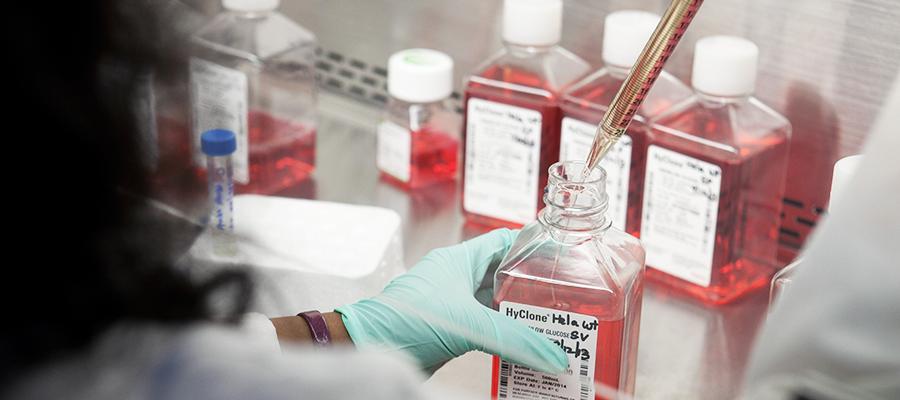 Lab researcher testing samples