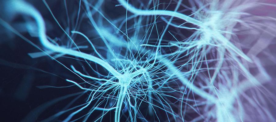 Neurology Program | Temple Health