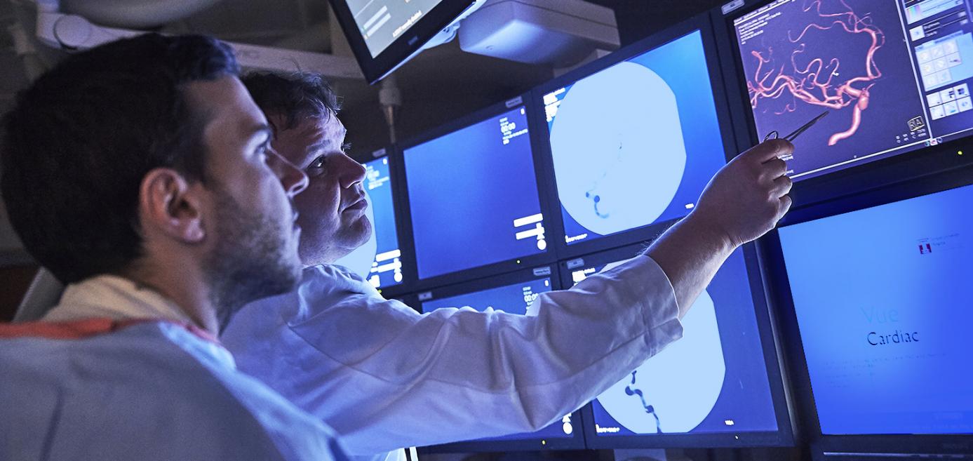 Temple neurologists examining neurons on a monitor