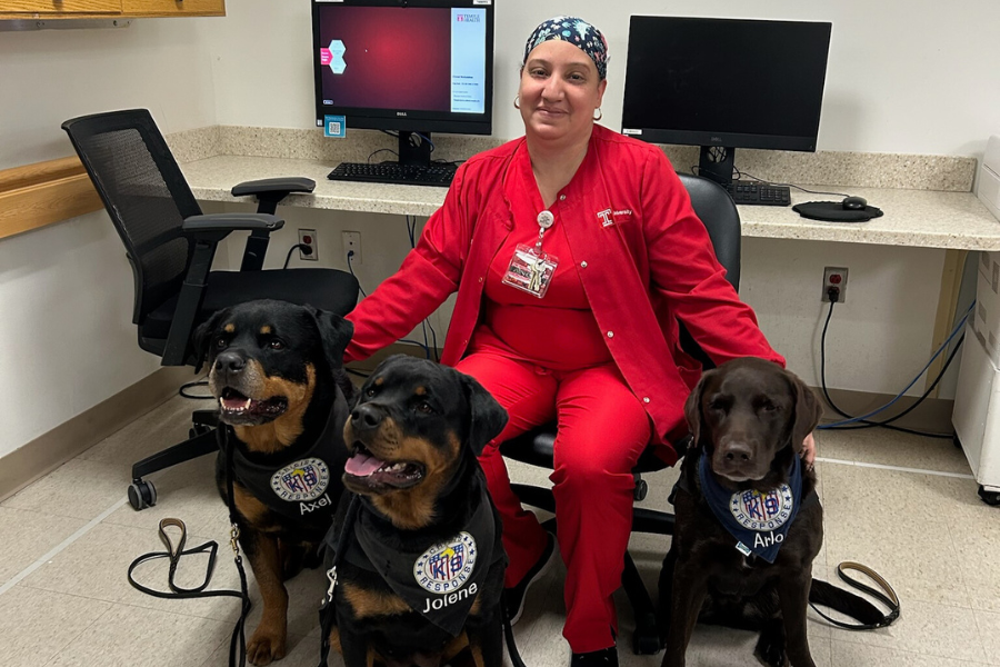 Jolene, Axel, and Arlo provide stress relief and support to our employees.