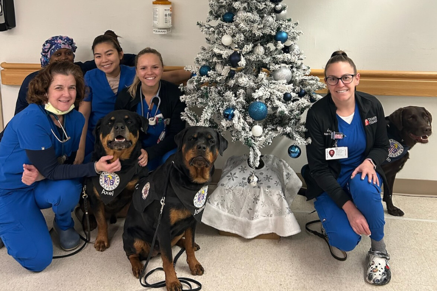 Getting in the holiday spirit with Axel, Jolene, and Arlo.