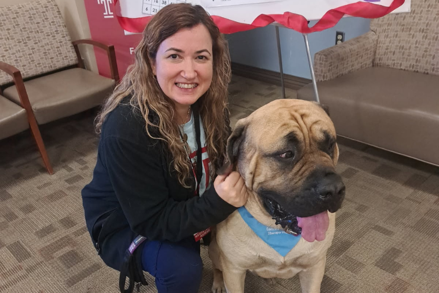 Chestnut Hill Hospital employees were lucky enough to enjoy a visit from therapy dogs!