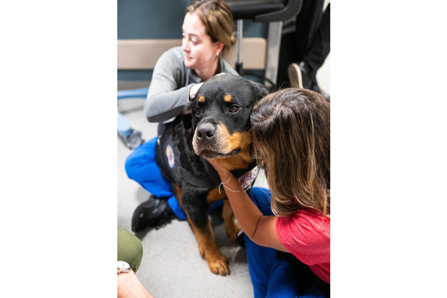 Exclusive photos from @thedogist’s visit to campus!