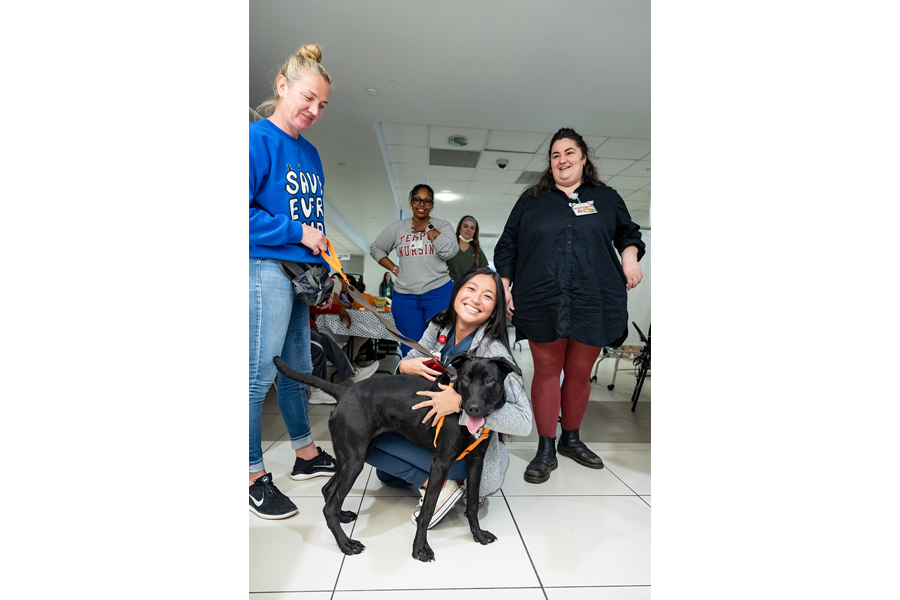 Snapshots from our annual Puppies and Pumpkins event.