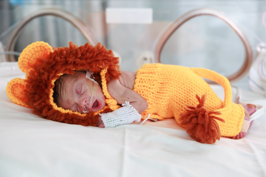 Newborn babies in their costumes!