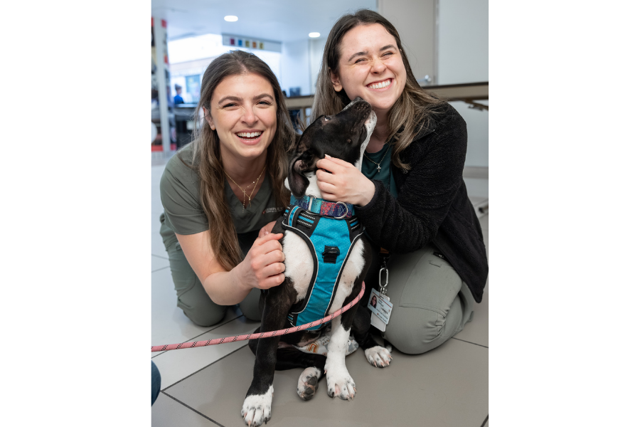 Temple Health’s House Staff enjoying this year’s appreciation events.