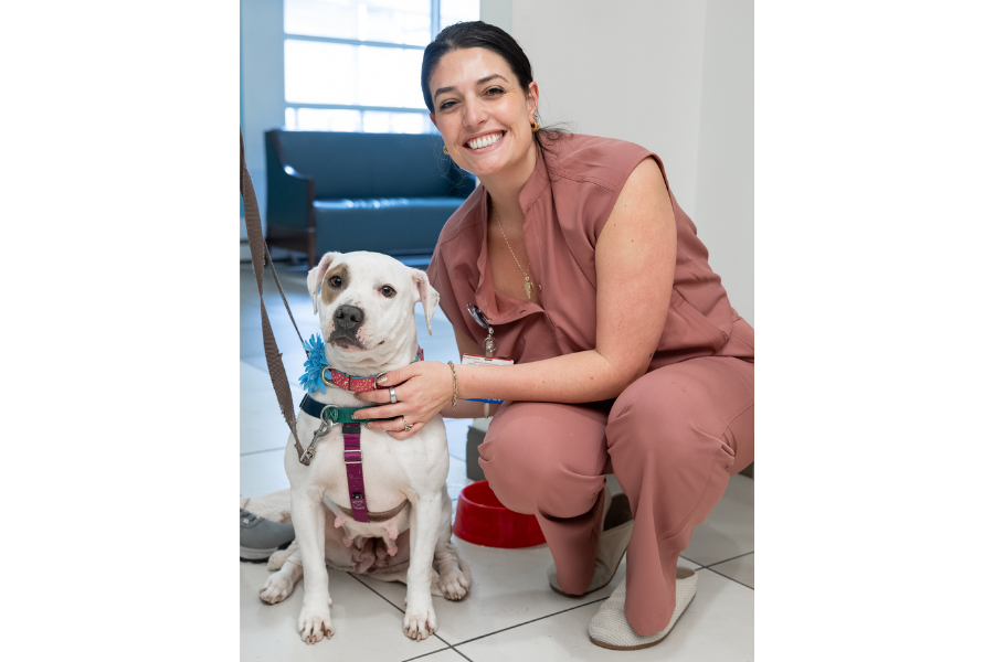 Temple Health’s House Staff enjoying this year’s appreciation events.