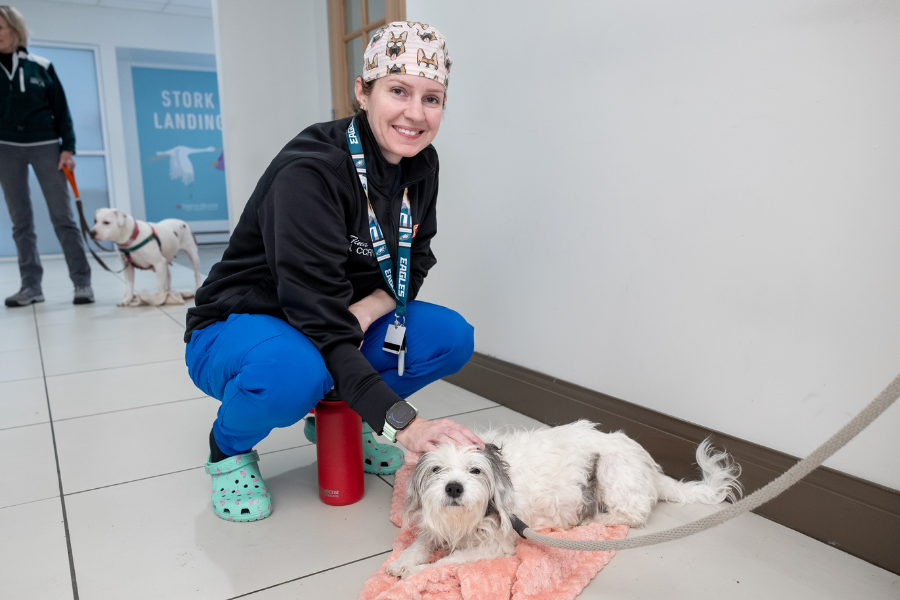 Temple Health’s House Staff enjoying this year’s appreciation events.