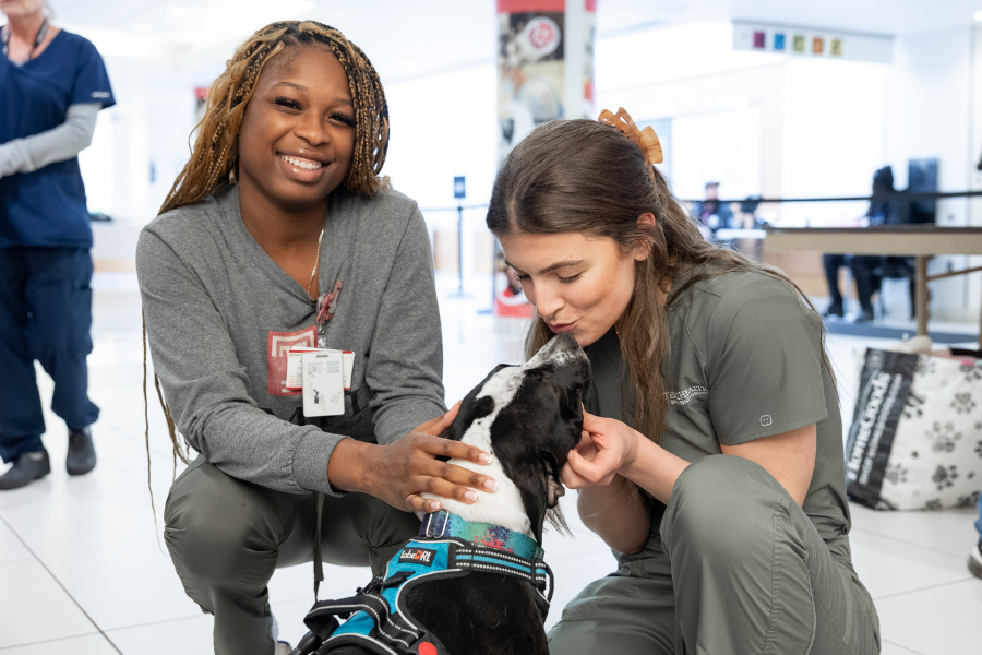 Temple Health’s House Staff enjoying this year’s appreciation events.