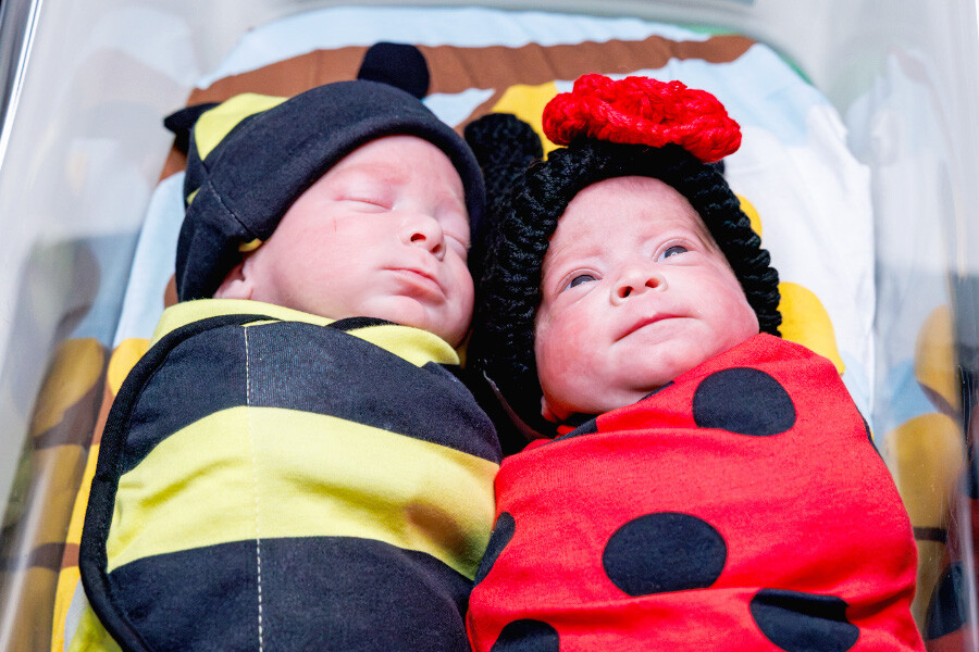 Newborn babies in bee and ladybug Halloween costumes