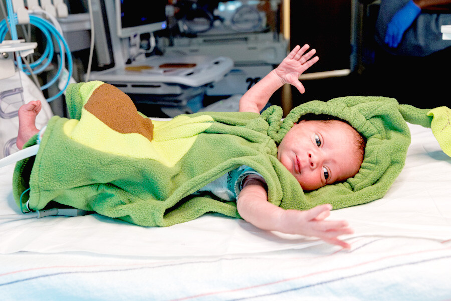 Newborn baby in avocado costume