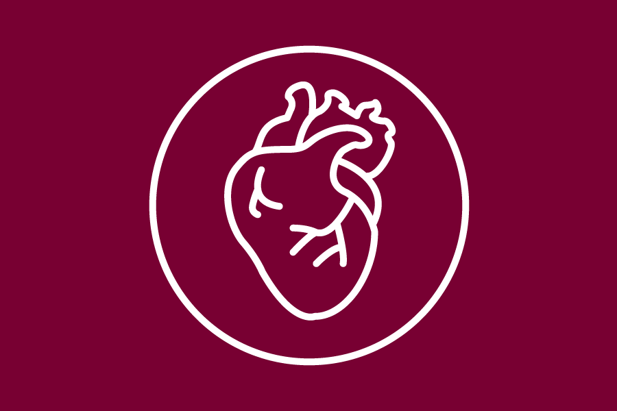 Heart illustration icon 