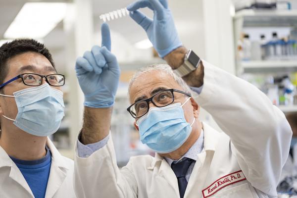 Dr. Khalili examining slide in lab