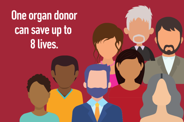 9 Organ Donation Facts And Where To Register Temple Health