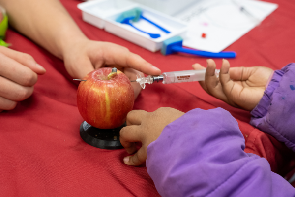 An attendee practices administering an epidural on an apple.