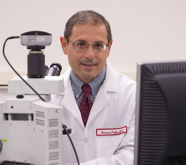 Domenico Praticò, MD in the lab
