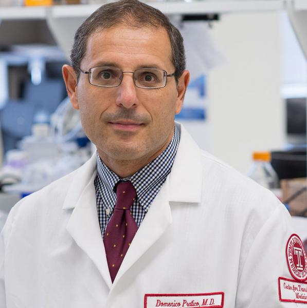 Domenico Praticò, MD in the lab