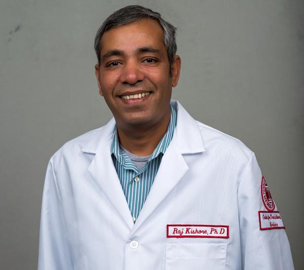 Raj Kishore, PhD