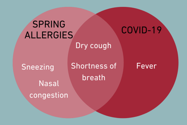 Spring Allergies Vs Covid 19 Learn The Difference Temple Health Spring Allergies Vs Covid 19 Learn The Difference Temple Health